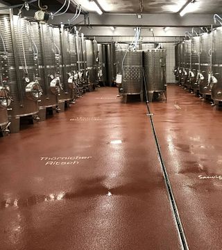 Vinprovning och rundtur på Weingut Gebr. Ludwig