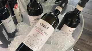 Cieck Winery