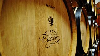 Esclusiva gita di un giorno nel Chianti Classico da Firenze