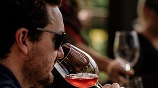 Visite du vignoble Tanagra et dégustation de vin