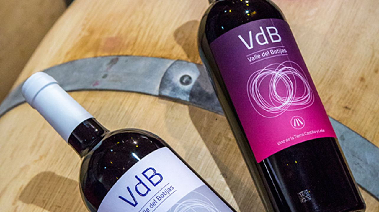 Bodegas Valle del Botijas