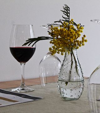 Degustação de vinhos na Stockman's Ridge Wines