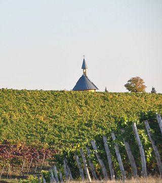 Weinprobe und Führung im Weingut Schmitt Bergtheim
