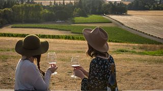 Degustazione di vini e tour ai vigneti di Anne Amie