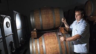 Vinprovning och rundtur på Zaloščan Vina De Adami