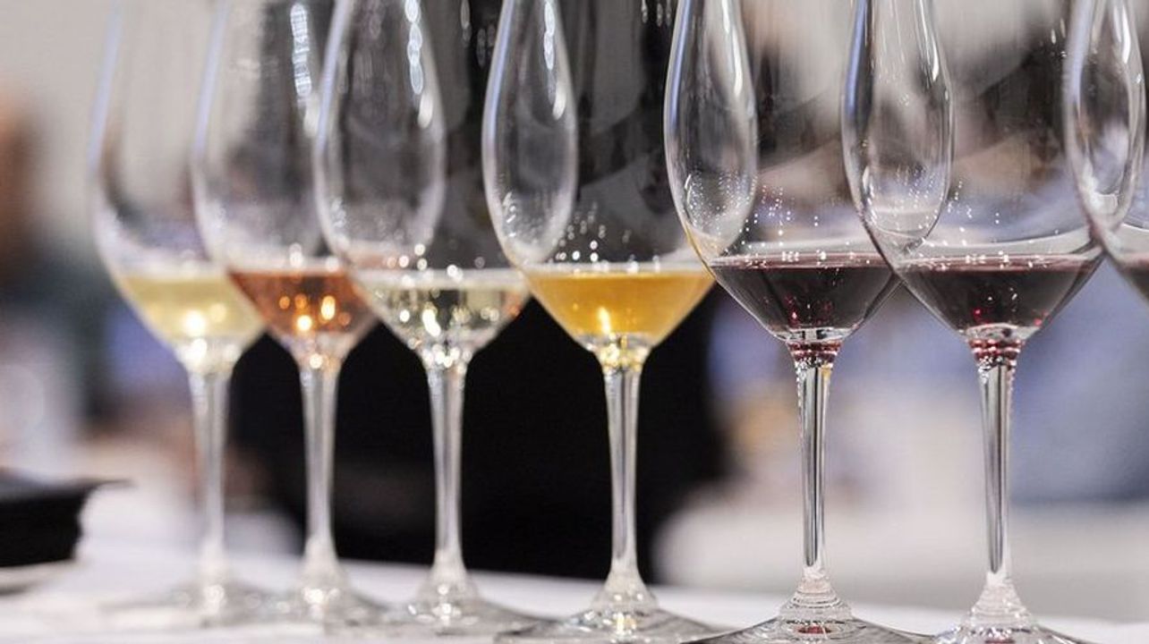 Experiencia de cata de vinos y tapas valencianas