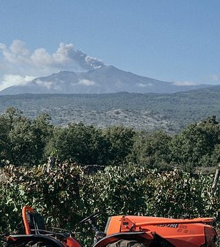 Vini Territoriali