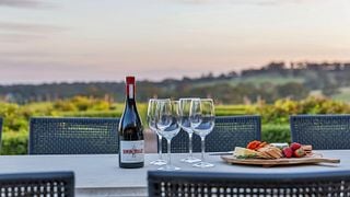 Degustação de vinhos e tour na Simon Tolley Wines