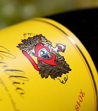 Beliebte Weinprobe und Tour bei Schiopetto