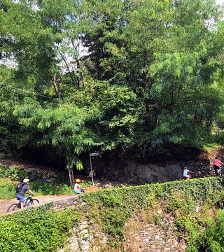 Passeio de bicicleta e vinho no Lago Como