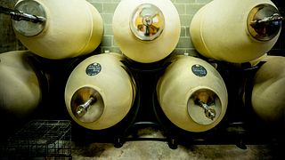 Wine Tasting and Winery Tour at I Carpini, Colli Tortonesi 