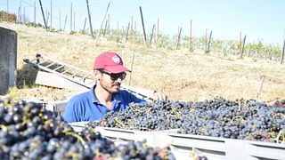 Maxi Wine Tour på Azienda San Quirico