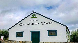 Dão & Lafões: Vineyard Tour & Wine Tasting at Carvalhão Torto