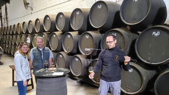 Tour definitivo della Sherry Bodega