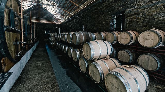 Degustazione di vini e tour a Quinta dos Avidagos
