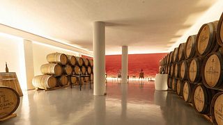 Murcia's Legacy: 6 Generational Wines & Winery Tour