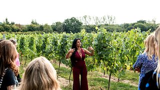 Sussex Vineyard Tour & Tasting with Winemakers