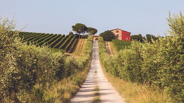 Terre Margaritelli Winery