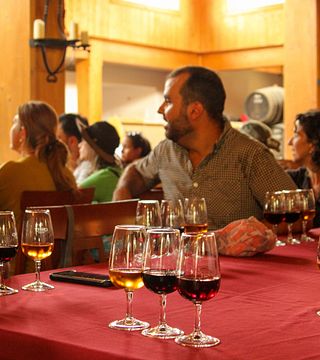 Tour del vino nella valle del Douro: 2 cantine, degustazioni, crociera sul fiume e pranzo