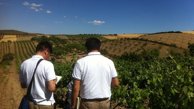 Dégustation de vins et visite à Raíces Ibéricas