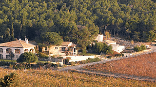 Dégustation et visite des vins du Mas du Soleilla