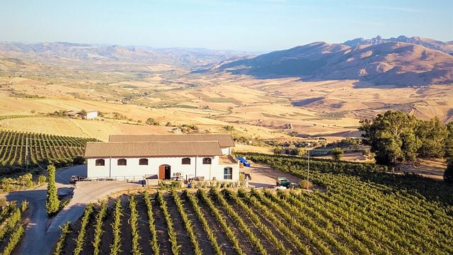 Vertikale Verkostung von Nero d'Avola im Weingut Di Giovanna