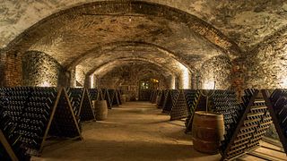 Popular Wine Tasting and Tour at Ghio Roberto-Vigneti Piemontemare