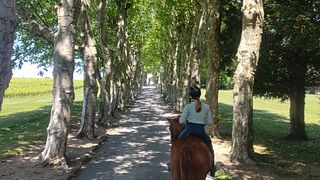 Horseback riding & Wine: Beaujolais Vineyard Adventure