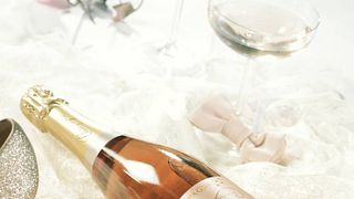 Visita e degustazione di 3 Champagne presso la Cantina Carreau