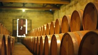 Degustazione di vini e visita allo Château Lesparre