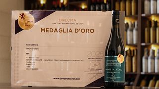 Degustazione di vini VIP e tour in bicicletta