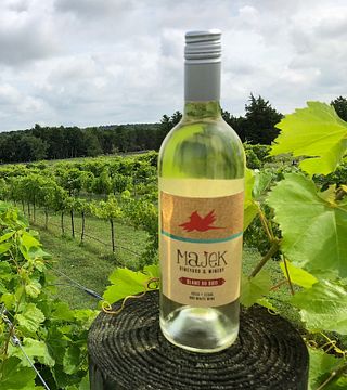 Degustazione di vini presso il vigneto e l'azienda vinicola Majek