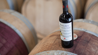Degustazione di vini e tour alla Bodega Cerro San Cristobal