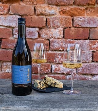 Podravska Wine & Local Bites Tasting