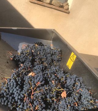 Weinprobe bei Pierini und Brugi