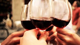 Degustazione e visita alla Fattoria Petriolo