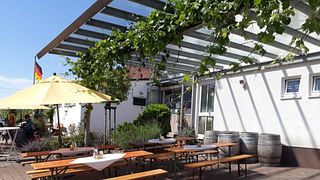 Degustação de vinhos e tour no Weingut Müller-Kern