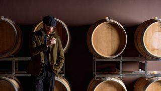Taste Puglia Wines with Local Cheese & Meats