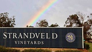 Beliebte Weinprobe bei Strandveld Vineyards
