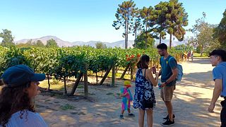 🍷 Upplev den ultimata 4-dagars lyxvinturen i Chile! 🍇