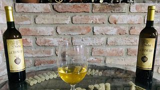 Degustazione di vini e tour presso l'azienda vinicola Nebi