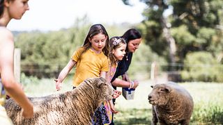 Paisley Footprints Farm and Vineyard Family Experience