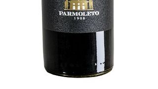 Dégustation de vins et visite à Parmoleto