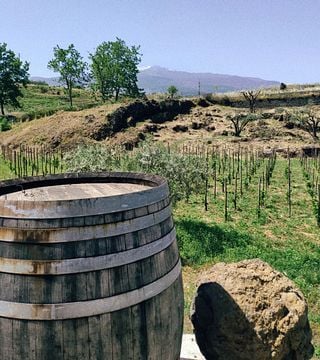 Taste Organic Etna Wines from Low-Intervention Vineyards