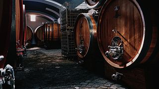 Vesuvio Wine & Views: Campania Tasting Tour