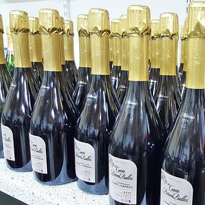 En kvalitetstid på Carreau Winery