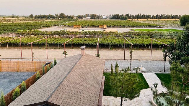 Family Winery Uzumfermer