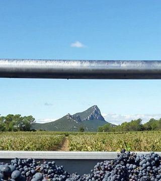 Languedoc-Roussillon Organic Wine Legacy Tasting