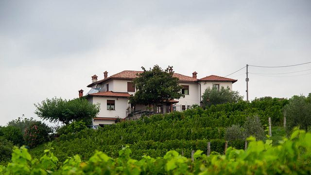 Zalatel Winery