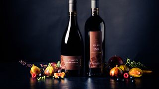 5 Catas de vinos en la bodega Binyamina